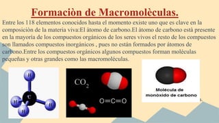 Formaciòn de Macromolèculas.
Entre los 118 elementos conocidos hasta el momento existe uno que es clave en la
composiciòn de la materia viva:El àtomo de carbono.El àtomo de carbono està presente
en la mayoría de los compuestos orgánicos de los seres vivos el resto de los compuestos
son llamados compuestos inorgánicos , pues no están formados por átomos de
carbono.Entre los compuestos orgánicos algunos compuestos forman moléculas
pequeñas y otras grandes como las macromoléculas.
Catalina Mateluna.
 