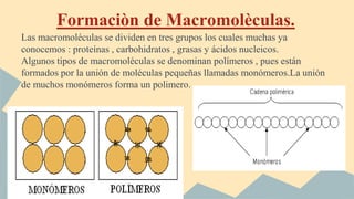 Formaciòn de Macromolèculas.
Las macromoléculas se dividen en tres grupos los cuales muchas ya
conocemos : proteínas , carbohidratos , grasas y ácidos nucleicos.
Algunos tipos de macromoléculas se denominan polímeros , pues están
formados por la unión de moléculas pequeñas llamadas monómeros.La unión
de muchos monómeros forma un polimero.
Catalina Mateluna.
 