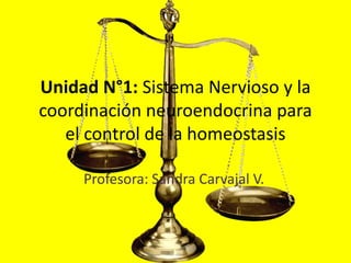Unidad N°1: Sistema Nervioso y la
coordinación neuroendocrina para
el control de la homeostasis
Profesora: Sandra Carvajal V.
 