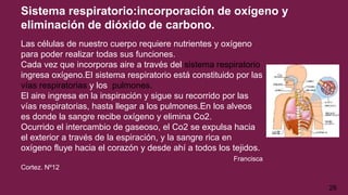 Sistema respiratorio:incorporación de oxígeno y
eliminación de dióxido de carbono.
Las células de nuestro cuerpo requiere nutrientes y oxígeno
para poder realizar todas sus funciones.
Cada vez que incorporas aire a través del sistema respiratorio
ingresa oxígeno.El sistema respiratorio está constituido por las
vías respiratorias y los pulmones.
El aire ingresa en la inspiración y sigue su recorrido por las
vías respiratorias, hasta llegar a los pulmones.En los alveos
es donde la sangre recibe oxígeno y elimina Co2.
Ocurrido el intercambio de gaseoso, el Co2 se expulsa hacia
el exterior a través de la espiración, y la sangre rica en
oxígeno fluye hacia el corazón y desde ahí a todos los tejidos.
Francisca
Cortez. Nº12
26
 