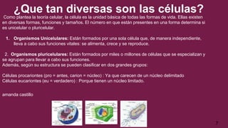 ¿Que tan diversas son las células?
Como plantea la teoría celular, la célula es la unidad básica de todas las formas de vida. Ellas existen
en diversas formas, funciones y tamaños. El número en que están presentes en una forma determina si
es unicelular o pluricelular.
1. Organismos Unicelulares: Están formados por una sola célula que, de manera independiente,
lleva a cabo sus funciones vitales: se alimenta, crece y se reproduce.
2. Organismos pluricelulares: Están formados por miles o millones de células que se especializan y
se agrupan para llevar a cabo sus funciones.
Además, según su estructura se pueden clasificar en dos grandes grupos:
Células procariontes (pro = antes, carion = núcleo) : Ya que carecen de un núcleo delimitado
Células eucariontes (eu = verdadero) : Porque tienen un núcleo limitado.
amanda castillo
7
 