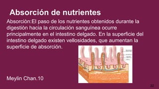 Absorción de nutrientes
Absorciòn:El paso de los nutrientes obtenidos durante la
digestiòn hacia la circulación sanguínea ocurre
principalmente en el intestino delgado. En la superficie del
intestino delgado existen vellosidades, que aumentan la
superficie de absorción.
Meylin Chan.10
22
 