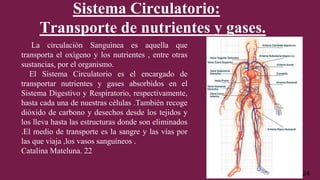 La circulaciòn Sanguìnea es aquella que
transporta el oxìgeno y los nutrientes , entre otras
sustancias, por el organismo.
El Sistema Circulatorio es el encargado de
transportar nutrientes y gases absorbidos en el
Sistema Digestivo y Respiratorio, respectivamente,
hasta cada una de nuestras cèlulas .Tambièn recoge
dióxido de carbono y desechos desde los tejidos y
los lleva hasta las estructuras donde son eliminados
.El medio de transporte es la sangre y las vías por
las que viaja ,los vasos sanguìneos .
Catalina Mateluna. 22
Sistema Circulatorio:
Transporte de nutrientes y gases.
24
 