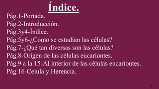 Índice.
Pág.1-Portada.
Pág.2-Introducción.
Pág.3y4-Índice.
Pág.5y6-¿Como se estudian las células?
Pág.7-¿Qué tan diversas son las células?
Pág.8-Origen de las células eucariontes.
Pág.9 a la 15-Al interior de las células eucariontes.
Pág.16-Celula y Herencia.
3
 