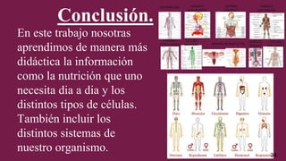 Conclusión.
En este trabajo nosotras
aprendimos de manera más
didáctica la información
como la nutrición que uno
necesita dia a dia y los
distintos tipos de células.
También incluir los
distintos sistemas de
nuestro organismo. 34
 