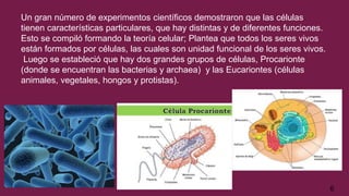 Un gran número de experimentos científicos demostraron que las células
tienen características particulares, que hay distintas y de diferentes funciones.
Esto se compiló formando la teoría celular; Plantea que todos los seres vivos
están formados por células, las cuales son unidad funcional de los seres vivos.
Luego se estableció que hay dos grandes grupos de células, Procarionte
(donde se encuentran las bacterias y archaea) y las Eucariontes (células
animales, vegetales, hongos y protistas).
Ki
Kiara bugueño Kiara Bugueño.
6
 