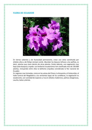 FLORA DE ECUADOR
En tierras calientes y de lluviosidad permanente, crece una selva constituida por
árboles altos y de follaje siempre verde. Abundan los bejucos leñosos y las epifitas, es
decir, plantas que viven dentro de otras plantas. Existe además, una vegetación mas
baja (soto bosque) y tupida. Los herbarios ecuatorianos han clasificado mas de 130.000
plantas, incluyendo entre ellas la bellísima orquidea considerada la flor nacional de
Ecuador.
En regiones mas húmedas, como en las selvas del Choco, la Amazonía, el Catatumbo, el
Valle Central del Magdalena y las vertientes bajas de las cordilleras, la vegetación es
exuberante, con variedad de especies y rica en árboles madereros, palmas oleaginosas,
caucho, balso y demás.
 