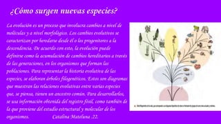 ¿Cómo surgen nuevas especies?
La evolución es un proceso que involucra cambios a nivel de
moléculas y a nivel morfológico. Los cambios evolutivos se
caracterizan por heredarse desde él o los progenitores a la
descendencia. De acuerdo con esto, la evolución puede
definirse como la acumulación de cambios hereditarios a través
de las generaciones, en los organismos que forman las
poblaciones. Para representar la historia evolutiva de las
especies, se elaboran árboles filogenéticos. Estos son diagramas
que muestran las relaciones evolutivas entre varias especies
que, se piensa, tienen un ancestro común. Para desarrollarlos,
se usa información obtenida del registro fósil, como también de
la que proviene del estudio estructural y molecular de los
organismos. Catalina Mateluna .22.
 