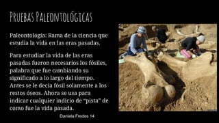 PruebasPaleontológicas
Paleontología: Rama de la ciencia que
estudia la vida en las eras pasadas.
Para estudiar la vida de las eras
pasadas fueron necesarios los fósiles,
palabra que fue cambiando su
significado a lo largo del tiempo.
Antes se le decía fósil solamente a los
restos óseos. Ahora se usa para
indicar cualquier indicio de “pista” de
como fue la vida pasada.
Daniela Fredes 14
 