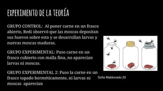 experimentodelateoría
GRUPO CONTROL: Al poner carne en un frasco
abierto, Redi observó que las moscas depositan
sus huevos sobre esta y se desarrollan larvas y
nuevas moscas maduras.
GRUPO EXPERIMENTAL: Puso carne en un
frasco cubierto con malla fina, no aparecían
larvas ni moscas.
GRUPO EXPERIMENTAL 2: Puso la carne en un
frasco tapado herméticamente, ni larvas ni
moscas aparecian
Sofia Maldonado 20
 