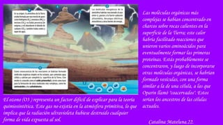 Catalina Mateluna.22.
Las moléculas orgánicas más
complejas se habían concentrado en
charcos sobre rocas calientes en la
superficie de la Tierra; este calor
habría facilitado reacciones que
unieron varios aminoácidos para
eventualmente formar las primeras
proteínas. Estás probablemente se
concentraron, y luego de incorporarse
otras moléculas orgánicas, se habrían
formado vesículas, con una forma
similar a la de una célula, a las que
Oparin llamó "coacervados". Estos
serían los ancestros de las células
actuales.
El ozono (O3 ) representa un factor difícil de explicar para la teoría
quimiosintética. Este gas no existía en la atmósfera primitiva, lo que
implica que la radiación ultravioleta hubiese destruido cualquier
forma de vida expuesta al sol.
 