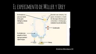 ElElexperimentodeMilleryUrey
Krishna Mondaca 24
 