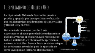 ElexperimentodeMilleryUrey
La hipótesis de Aleksandr Oparin fue puesta a
prueba y apoyada por un experimento efectuado
por los bioquímicos estadounidenses Stanley Miller
y Harold Urey en 1953
Durante toda la semana que duró este
experimento, el agua que se había condensado se
puso roja y turbia al enfriarse. Esto reveló que se
habían sintetizado, en el curso del experimento,
cuatro aminoácidos. De esta forma se demostró que
los compuestos esenciales para la aparición de
seres vivos podían formarse abioticamente. Krishna Mondaca 24
 