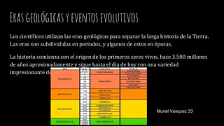 Erasgeológicasyeventosevolutivos
Los científicos utilizan las eras geológicas para separar la larga historia de la Tierra.
Las eras son subdivididas en periodos, y algunos de estos en épocas.
La historia comienza con el origen de los primeros seres vivos, hace 3.500 millones
de años aproximadamente y sigue hasta el dia de hoy con una variedad
impresionante de organismos.
Muriel Vasquez 33
 
