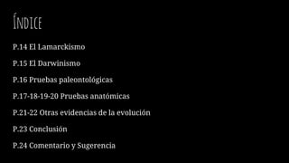 Índice
P.14 El Lamarckismo
P.15 El Darwinismo
P.16 Pruebas paleontológicas
P.17-18-19-20 Pruebas anatómicas
P.21-22 Otras evidencias de la evolución
P.23 Conclusión
P.24 Comentario y Sugerencia
 