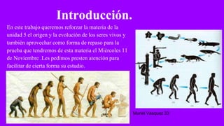 Introducción.
En este trabajo queremos reforzar la materia de la
unidad 5 el origen y la evolución de los seres vivos y
también aprovechar como forma de repaso para la
prueba que tendremos de esta materia el Miércoles 11
de Noviembre .Les pedimos presten atención para
facilitar de cierta forma su estudio.
Muriel Vasquez 33
 