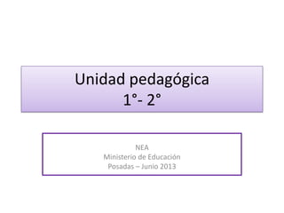 Unidad pedagógica
1°- 2°
NEA
Ministerio de Educación
Posadas – Junio 2013

 
