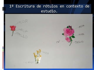1º Escritura de rótulos en contexto de
estudio.

 
