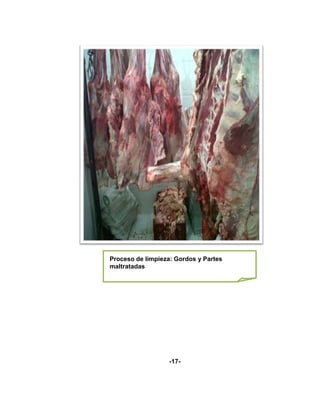 Proceso de limpieza: Gordos y Partes
maltratadas




                   -17-
 
