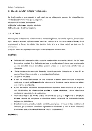 Biología 2º de bachillerato

3. División celular: mitosis y citocinesis


La división celular es un proceso por el cual, a partir de una célula madre, aparecen dos células hijas con
idéntica dotación cromosómica que la progenitora.
La división celular o fase M comprende:
a) Mitosis , cariocinesis o división del núcleo
b) Citocinesis o división del citoplasma


3.1. MITOSIS


Proceso por el cual se reparte equitativamente la información genética, previamente replicada, a dos núcleos
hijos. Es decir, la mitosis supone la división del núcleo, para lo cual de una célula madre diploide (con 2n
cromosomas) se forman dos células hijas idénticas (entre sí y a la célula madre), es decir, con 2n
cromosomas.
Aunque la mitosis es un proceso continuo para su estudio se divide en varias fases:


PROFASE


    •    Se inicia con la condensación de la cromatina, para formar los cromosomas (es decir, las dos fibras
         de cromatina, resultado de la duplicación y unidas, se enrollan sobre sí mismas para constituir cada
         una una cromátida. Ambas cromátidas quedarán unidas por el centrómero, constituyendo un
         cromosoma.
    •      Cada diplosoma (dos centríolos dispuestos perpendicularmente) duplicados en la fase G2, se
         separan. Cada diplosoma se sitúa en un polo opuesto de la célula.
    •    Desaparece el nucléolo.
    •    A partir del material pericentriolar de cada diplosoma se forman microtúbulos que se disponen
         radialmente, formando las fibras del áster . Al conjunto de diplosoma, material pericentriolar y áster
         se le denomina centrosoma .
    •    A partir del material percentriolar de cada centrosoma se forman microtúbulos que van de polo a
         polo, constituyendo los microtúbulos polares o fibras continuas . Dichos microtúbulos
         constituyen el huso mitótico o acromático.
    •    Finalmente el núcleo se hincha (debido a la entrada de agua) y se fragmenta la envoltura
         nuclear. Termina por desaparecer la membrana nuclear, con lo que los cromosomas quedan
         dispersos por el citoplasma.
    •    En cada cromosoma, en cada una de las cromátidas, se empieza a formar, a nivel del centrómero, el
         cinetocoro, que se comporta como centro organizador de microtúbulos. A partir de dichos cinetocoros
         se forman los microtúbulos cinetocóricos o fibras cromosómicas .


METAFASE




                                                                                                             4
 