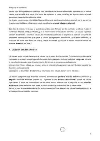 Biología 2º de bachillerato

células hijas. El fragmoplasmo dará lugar a las membranas de las dos células hijas, separadas por la lámina
media, en el ecuador de la célula. Por último, se depositará la pared primaria y, en algunos casos, la pared
secundaria, dependiendo del tipo de célula.
La división celular origina dos células hijas genéticamente idénticas al individuo parental, por lo que en los
organismos unicelulares este proceso puede considerarse una reproducción asexual .


Este tipo de mitosis, en la que el aparato acromático está formado por los centriolos y ásteres, recibe el
nombre de mitosis astra l o anfiastral, y es la más frecuente en las células animales. Las células vegetales
carecen de centríolos. En dichas células, los microtúbulos del huso se organizan a partir de una zona del
citoplasma próxima al núcleo que ejerce la función de organizador microtubular. Al no existir centríolos, el
huso que se forma tiene forma de tonel y carece de ásteres, por lo que la mitosis recibe el nombre de
mitosis anastral (sin áster).


4. División celular: meiosis


La meiosis es un proceso generador de células con la mitad de cromosomas. En los individuos diploides la
meiosis es un proceso necesario para la formación de los gametos (células haploides) y esporas durante
la reproducción sexual y para el mantenimiento del número de cromosomas de la especie.
Los gametos (n) son células que precisan unirse a otros gametos para dar nuevos individuos (excepto los
óvulos en partenogénesis).
Las esporas se desarrollan directamente, y sin unirse a otras células, dan un nuevo individuo.


La meiosis comprende dos divisiones sucesivas denominadas: primera división meiótica (meiosis I) y
segunda división meiótica (meiosis II). La primera es una división reduccional , ya que las células
hijas tienen la mitad de cromosomas que la célula madre, mientras que la segunda es una división
ecuacional, pues las células hijas tienen el mismo número de cromosomas que la célula madre.
Así, en el caso de una célula diploide (2n) en la primera división se obtienen dos células hijas haploides (n), y
en la segunda cuatro células haploides.




                                                                                                               6
 