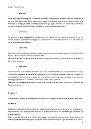 Biología 2º de bachillerato



             •    Zigoteno


Cada cromosoma se aparea con su homólogo, quedando completamente alineados punto por punto (gen a
gen), por toda su longitud. Dicho apareamiento recibe el nombre de sinapsis y se produce gracias a la
formación del complejo sinaptonémico (apareamiento gen a gen). Se forma así una estructura constituida
por dos cromosomas homólogos unidos (bivalente) o cuatro cromátidas (la tétrada).


             •    Paquiteno


Se produce el sobrecruzamiento (crossing-over), o intercambio de material cromatínico entre las
cromátidas de los cromosomas homólogos. La consecuencia de este sobrecruzamiento es el intercambio de
genes o recombinación génica .


             •    Diploteno


Los cromosomas homólogos comienzan a separarse, permaneciendo unidos por los puntos donde ha tenido
lugar el sobrecruzamiento, denominados quiasmas.
La etapa de diploteno es la más larga de la meiosis, pudiendo durar días e incluso años, como es el caso de
los ovocitos humanos.


             •    Diacinesis


Los cromosomas se condensan al máximo, por lo que en cada bivalente no solo se diferencian los dos
cromosomas homólogos, sino que se ven claramente las dos cromátidas de cada cromosoma. Cada par de
cromátidas hermanas permanecen unidas por el centrómero, mientras que las cromátidas de cromosomas
homólogos (cromátidas no hermanas) permanecen unidas por los quiasmas.
Desaparece el nucléolo y la membrana nuclear, y se forma el huso acromático. Comienzan a formarse las
fibras cinetocóricas.




Metafase I


Los bivalentes o tétradas se disponen en el plano ecuatorial. Solo se observan algunos quiasmas terminales.


Anafase I


Los dos cromosomas homólogos que forman cada bivalente se separan y mugirán, cada uno constituido por
dos cromátidas, hacia polos opuestos de la célula. Dichos cromosomas son arrastrados por olas fibras del
huso acromático.
Observa, como a diferencia de la mitosis no se separan cromátidas, sino cromosomas enteros. Además las
cromátidas de cada cromosoma ya no son iguales, sino que en ellas ha tenido lugar la recombinación génica.
                                                                                                          8
 