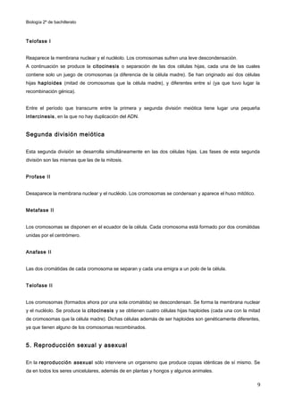 Biología 2º de bachillerato



Telofase I


Reaparece la membrana nuclear y el nucléolo. Los cromosomas sufren una leve descondensación.
A continuación se produce la citocinesis o separación de las dos células hijas, cada una de las cuales
contiene solo un juego de cromosomas (a diferencia de la célula madre). Se han originado así dos células
hijas haploides (mitad de cromosomas que la célula madre), y diferentes entre sí (ya que tuvo lugar la
recombinación génica).


Entre el período que transcurre entre la primera y segunda división meiótica tiene lugar una pequeña
intercinesis , en la que no hay duplicación del ADN.


Segunda división meiótica

Esta segunda división se desarrolla simultáneamente en las dos células hijas. Las fases de esta segunda
división son las mismas que las de la mitosis.


Profase II


Desaparece la membrana nuclear y el nucléolo. Los cromosomas se condensan y aparece el huso mitótico.


Metafase II


Los cromosomas se disponen en el ecuador de la célula. Cada cromosoma está formado por dos cromátidas
unidas por el centrómero.


Anafase II


Las dos cromátidas de cada cromosoma se separan y cada una emigra a un polo de la célula.


Telofase II


Los cromosomas (formados ahora por una sola cromátida) se descondensan. Se forma la membrana nuclear
y el nucléolo. Se produce la citocinesis y se obtienen cuatro células hijas haploides (cada una con la mitad
de cromosomas que la célula madre). Dichas células además de ser haploides son genéticamente diferentes,
ya que tienen alguno de los cromosomas recombinados.


5. Reproducción sexual y asexual

En la reproducción asexual sólo interviene un organismo que produce copias idénticas de sí mismo. Se
da en todos los seres unicelulares, además de en plantas y hongos y algunos animales.

                                                                                                          9
 
