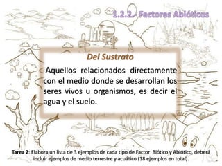 Del Sustrato
Aquellos relacionados directamente
con el medio donde se desarrollan los
seres vivos u organismos, es decir el
agua y el suelo.
Tarea 2: Elabora un lista de 3 ejemplos de cada tipo de Factor Biótico y Abiótico, deberá
incluir ejemplos de medio terrestre y acuático (18 ejemplos en total).
 
