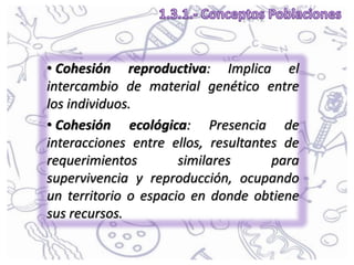 • Cohesión reproductiva: Implica el
intercambio de material genético entre
los individuos.
• Cohesión ecológica: Presencia de
interacciones entre ellos, resultantes de
requerimientos similares para
supervivencia y reproducción, ocupando
un territorio o espacio en donde obtiene
sus recursos.
 
