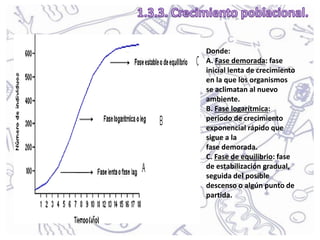 Donde:
A. Fase demorada: fase
inicial lenta de crecimiento
en la que los organismos
se aclimatan al nuevo
ambiente.
B. Fase logarítmica:
periodo de crecimiento
exponencial rápido que
sigue a la
fase demorada.
C. Fase de equilibrio: fase
de estabilización gradual,
seguida del posible
descenso o algún punto de
partida.
 