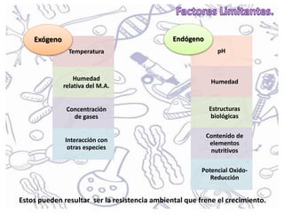 Temperatura
Humedad
relativa del M.A.
Concentración
de gases
Interacción con
otras especies
Exógeno
pH
Humedad
Estructuras
biológicas
Contenido de
elementos
nutritivos
Potencial Oxido-
Reducción
Endógeno
Estos pueden resultar ser la resistencia ambiental que frene el crecimiento.
 