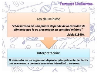 Interpretación:
El desarrollo de un organismo depende principalmente del factor
que se encuentra presente en mínima intensidad o en exceso.
Ley del Mínimo
“El desarrollo de una planta depende de la cantidad de
alimento que le es presentado en cantidad mínima".
Liebig (1840).
 