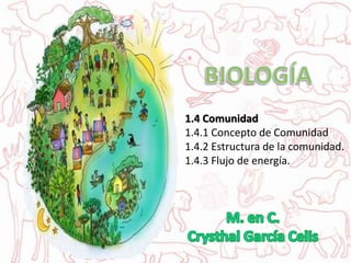 1.4 Comunidad
1.4.1 Concepto de Comunidad
1.4.2 Estructura de la comunidad.
1.4.3 Flujo de energía.
 