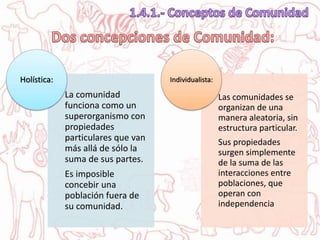 La comunidad
funciona como un
superorganismo con
propiedades
particulares que van
más allá de sólo la
suma de sus partes.
Es imposible
concebir una
población fuera de
su comunidad.
Holística:
Las comunidades se
organizan de una
manera aleatoria, sin
estructura particular.
Sus propiedades
surgen simplemente
de la suma de las
interacciones entre
poblaciones, que
operan con
independencia
Individualista:
 