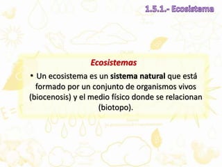 Ecosistemas
• Un ecosistema es un sistema natural que está
formado por un conjunto de organismos vivos
(biocenosis) y el medio físico donde se relacionan
(biotopo).
 