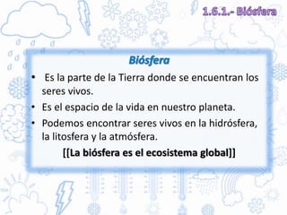 • Es la parte de la Tierra donde se encuentran los
seres vivos.
• Es el espacio de la vida en nuestro planeta.
• Podemos encontrar seres vivos en la hidrósfera,
la litosfera y la atmósfera.
[[La biósfera es el ecosistema global]]
 