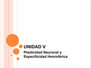 UNIDAD V Plasticidad Neuronal y Especificidad Hemisférica 