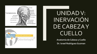 UNIDADV:
INERVACIÓN
DE CABEZAY
CUELLO
Anatomía de Cabeza y Cuello
Dr. Israel Rodriguez Guzman
 
