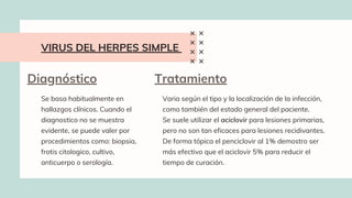 VIRUS DEL HERPES SIMPLE
Diagnóstico
Se basa habitualmente en
hallazgos clínicos. Cuando el
diagnostico no se muestra
evidente, se puede valer por
procedimientos como: biopsia,
frotis citologico, cultivo,
anticuerpo o serología.
Tratamiento
Varia según el tipo y la localización de la infección,
como también del estado general del paciente.
Se suele utilizar el aciclovir para lesiones primarias,
pero no son tan eficaces para lesiones recidivantes.
De forma tópica el penciclovir al 1% demostro ser
más efectivo que el aciclovir 5% para reducir el
tiempo de curación.
 