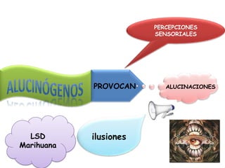 PERCEPCIONES SENSORIALESAlucinógenosPROVOCANALUCINACIONESLSDMarihuanailusiones