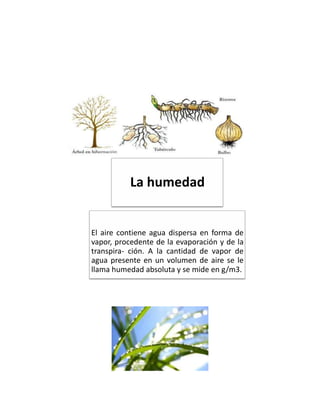 La humedad
El aire contiene agua dispersa en forma de
vapor, procedente de la evaporación y de la
transpira- ción. A la cantidad de vapor de
agua presente en un volumen de aire se le
llama humedad absoluta y se mide en g/m3.
 