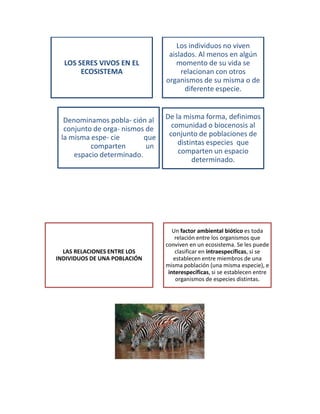 LOS SERES VIVOS EN EL
ECOSISTEMA
Los individuos no viven
aislados. Al menos en algún
momento de su vida se
relacionan con otros
organismos de su misma o de
diferente especie.
Denominamos pobla- ción al
conjunto de orga- nismos de
la misma espe- cie que
comparten un
espacio determinado.
De la misma forma, definimos
comunidad o biocenosis al
conjunto de poblaciones de
distintas especies que
comparten un espacio
determinado.
LAS RELACIONES ENTRE LOS
INDIVIDUOS DE UNA POBLACIÓN
Un factor ambiental biótico es toda
relación entre los organismos que
conviven en un ecosistema. Se les puede
clasificar en intraespecíficas, si se
establecen entre miembros de una
misma población (una misma especie), e
interespecíficas, si se establecen entre
organismos de especies distintas.
 