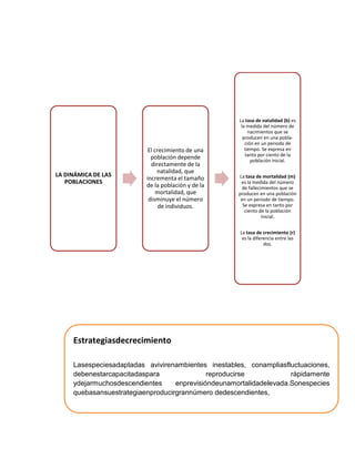 LA DINÁMICA DE LAS
POBLACIONES
El crecimiento de una
población depende
directamente de la
natalidad, que
incrementa el tamaño
de la población y de la
mortalidad, que
disminuye el número
de individuos.
La tasa de natalidad (b) es
la medida del número de
nacimientos que se
producen en una pobla-
ción en un periodo de
tiempo. Se expresa en
tanto por ciento de la
población inicial.
La tasa de mortalidad (m)
es la medida del número
de fallecimientos que se
producen en una población
en un periodo de tiempo.
Se expresa en tanto por
ciento de la población
inicial.
La tasa de crecimiento (r)
es la diferencia entre las
dos.
Estrategiasdecrecimiento
Lasespeciesadaptadas avivirenambientes inestables, conampliasfluctuaciones,
debenestarcapacitadaspara reproducirse rápidamente
ydejarmuchosdescendientes enprevisióndeunamortalidadelevada.Sonespecies
quebasansuestrategiaenproducirgrannúmero dedescendientes,
 