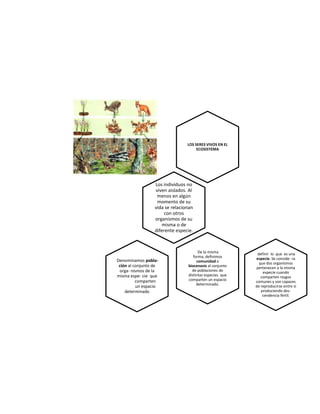 LOS SERES VIVOS EN EL
ECOSISTEMA
Los individuos no
viven aislados. Al
menos en algún
momento de su
vida se relacionan
con otros
organismos de su
misma o de
diferente especie.
definir lo que es una
especie. Se conside- ra
que dos organismos
pertenecen a la misma
especie cuando
comparten rasgos
comunes y son capaces
de reproducirse entre sí
produciendo des-
cendencia fértil.
De la misma
forma, definimos
comunidad o
biocenosis al conjunto
de poblaciones de
distintas especies que
comparten un espacio
determinado.
Denominamos pobla-
ción al conjunto de
orga- nismos de la
misma espe- cie que
comparten
un espacio
determinado
 