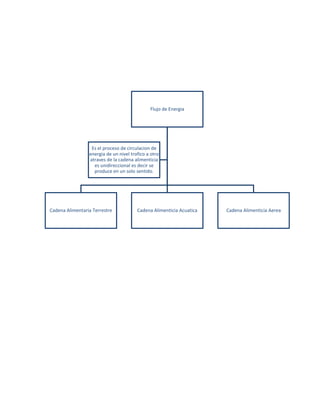 Flujo de Energia
Cadena Alimentaria Terrestre Cadena Alimenticia Acuatica Cadena Alimenticia Aerea
Es el proceso de circulacion de
energia de un nivel trofico a otro
atraves de la cadena alimenticia
es unidireccional es decir se
produce en un solo sentido.
 