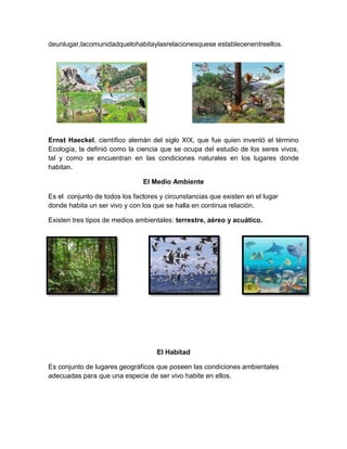 deunlugar,lacomunidadquelohabitaylasrelacionesquese establecenentreellos.
Ernst Haeckel, científico alemán del siglo XIX, que fue quien inventó el término
Ecología, la definió como la ciencia que se ocupa del estudio de los seres vivos,
tal y como se encuentran en las condiciones naturales en los lugares donde
habitan.
El Medio Ambiente
Es el conjunto de todos los factores y circunstancias que existen en el lugar
donde habita un ser vivo y con los que se halla en continua relación.
Existen tres tipos de medios ambientales: terrestre, aéreo y acuático.
El Habitad
Es conjunto de lugares geográficos que poseen las condiciones ambientales
adecuadas para que una especie de ser vivo habite en ellos.
 
