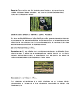 Especie.-Se considera que dos organismos pertenecen a la misma especie
cuando comparten rasgos comunes y son capaces de reproducirse entre sí
produciendo descendencia fértil.
Las Relaciones Entre Los Individuos De Una Población
Un factor ambiental biótico es toda relación entre los organismos que conviven en
un ecosistema. Se les puede clasificar en intraespecíficas, si se establecen entre
miembros de una misma población (una misma especie), e interespecíficas, si se
establecen entre organismos de especies distintas.
La competencia intraespecífica.
Competencia.- Es una relación entre individuos encaminada a la obtención de un
mismo recurso. El efecto de la competencia se traduce siempre por un efecto
negativo sobre la fecundidad y la supervivencia. Así, por ejemplo, las liebres de
una zona superpoblada, que compiten por comer hierba.
Las asociaciones intraespecíficas.
Son relaciones encaminadas a la mejor obtención de un objetivo común,
generalmente, el cuidado de la prole, la defensa o el reparto del trabajo. Hay
diferentes tipos:
 