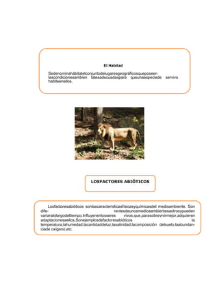 El Habitad
Sedenominahábitatelconjuntodelugaresgeográficosqueposeen
lascondicionesambien talesadecuadaspara queunaespeciede servivo
habiteenellos.
LOSFACTORES ABIÓTICOS
Losfactoresabióticos sonlascaracterísticasfísicasyquímicasdel medioambiente. Son
dife- rentesdeunosmediosambientesaotrosypueden
variaralolargodeltiempo.Influyenenlosseres vivos,que,parasobrevivirmejor,adquieren
adaptacionesaellos.Sonejemplosdefactoresabióticos la
temperatura,lahumedad,lacantidaddeluz,lasalinidad,lacomposición delsuelo,laabundan-
ciade oxígeno,etc.
 