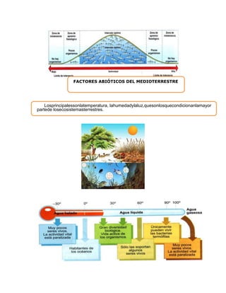 FACTORES ABIÓTICOS DEL MEDIOTERRESTRE
Losprincipalessonlatemperatura, lahumedadylaluz,quesonlosquecondicionanlamayor
partede losecosistemasterrestres.
 