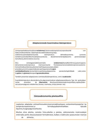 Adaptacionesde losanimalesa latemperatura
Lamayorpartedelosanimalessonectotermos,tienenunatemperaturacorporalacorde con
ladesumedioambiente. Silatemperaturadelmedioesmuy baja,
sedetienesuactividadvital.Cuando latemperatura delmedioaumenta, aumenta
tambiénsuactividad.Muchosadoptanconductas decalentamientorápido(como ponersealsolpor
lasmañanas,otenercolores oscuros).
Otra estrategiaesladelosanimales endotermos(AvesyMamíferos),quesoncapaces
demantenerunatemperatura internaconstante frentealasvariacionesdelatemperaturaexterior.
Comoelmedioambientesueleestarmásfríoquesuscuerpos,deben
procederauncontinuoaportedecalor,porloquenecesitangran
cantidaddealimento.Sontambiénmuyútileslasadaptaciones paraevitarlapérdidade calor,como
lospeloso lasplumasylascapasdegrasasubcutánea.
También presentan adaptaciones contralasaltastemperaturas, como lasudoración.
Cuandolatemperatura desciendemucho,algunosanimalesse adaptanpasandoauna fase de quietudque
recibe elnombre de hibernación. Muchosanimalesectodermos(anfibios,reptiles)hiber-
nan,asícomoalgunos endodermos (lirones, marmotas, erizos,hámste- res).
Cómosobrevivenlas plantasalfrío
Lasplantas adaptadas aclimasfríossuelencrecercercadelsuelopara evitarelvientoysoportar las
temperaturasextremas.La formabajaydealmohadillaes típicade
líquenes,musgosyalgunosarbustos.
Muchas otras plantas, comolos lirios,cebollas o patatas, sobrevivenalos inviernosdejan
enterradas partes desuscuerposen formaderaíces, bulbos o tubérculos queacumulan reservas
de alimento.
 